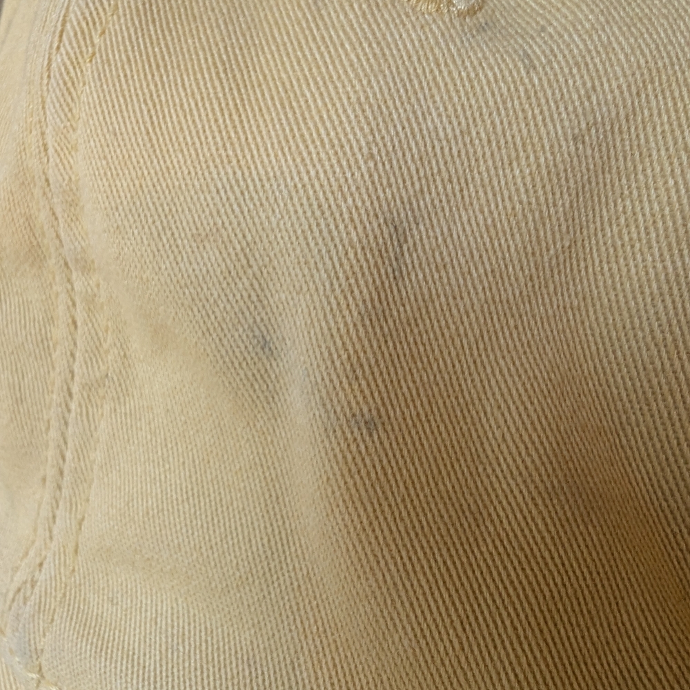 Daniel Cremieux Mustard Cap with Dog Embroidery - Picture 5 of 15